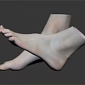 Man Feet 3D Rendered Anatomical Model With Realistic Toes And Skin Texture