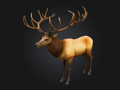 Realistic 3D Model of Elk With Large Antlers Brownish Yellow Coat on Black Background 3d model
