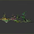 Diverse Colorful Plant Foliage with Various Leaf Shapes and Vibrant Green Hues