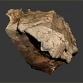 Natural Red Brown Wood Stone With Textured Surface And Irregular Shape