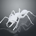 Realistic Detailed White Ant with Extended Legs on Reflective Black Surface