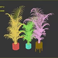 Green Potted Palm Plants in Orange Planters with Different Designs Against Dark Backdrop