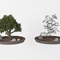 Two Ornamental Arbor Trees Planted in Circular Brick Planters With Stones And Soil
