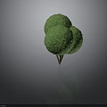 Decorative Green Plant with Two Round Canopies and Brown Trunk Isolated on Gray Background