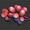 Fresh Red And Purple Grapes With Green Vine On Dark Background