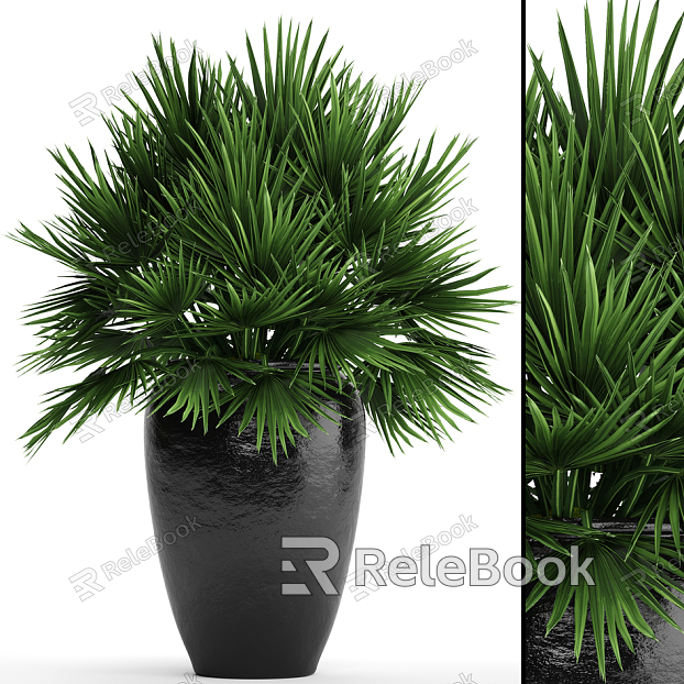 potted plant model