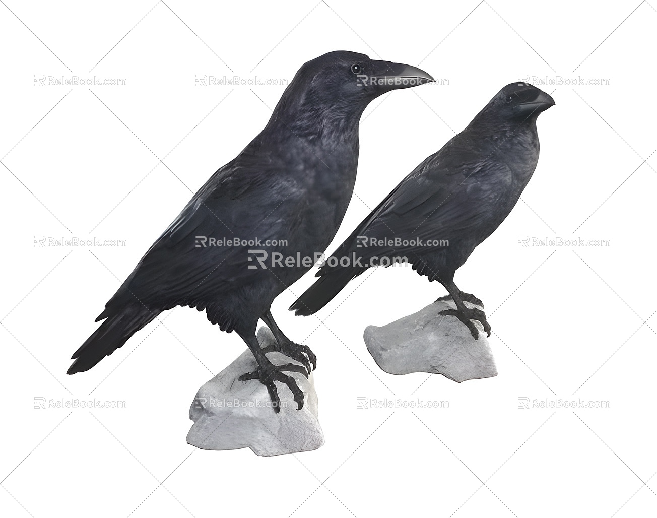 Modern Crow Modern Realistic Bird Animal Flying Animal Crow 3d model