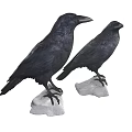 Two Black Crows Standing On White Stone Bases With Detailed Feathers And Upright Posture