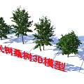 Modern Mulberry Arbor 3D Model with Detailed Design and Realistic Rendering 3d model