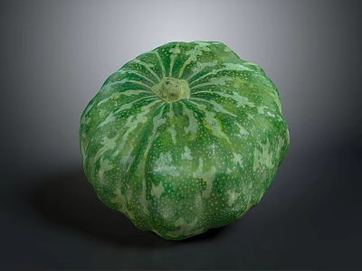 Green Pumpkin With White Spots Fresh Round And Healthy Organic Produce 3d model