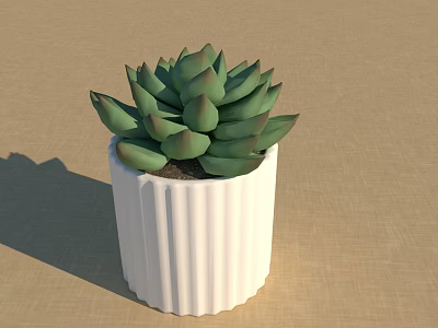Succulent Plant With Green Fleshy Leaves In White Vertical Striped Pot On Textured Beige Surface 3d model