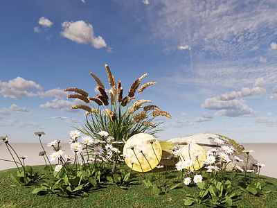 Stunning White Daisies And Yellow Blossoms With Green Grass Wheat like Plants Under Blue Sky 3d model