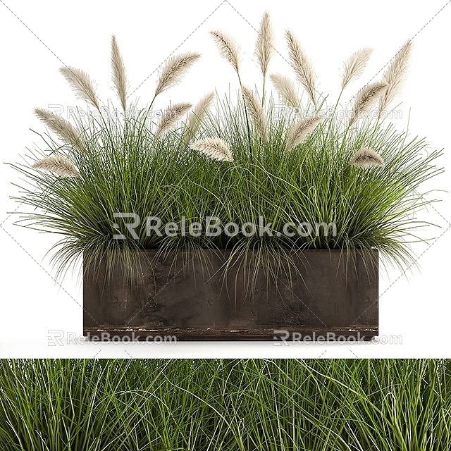 Grasses and flowers 3d model