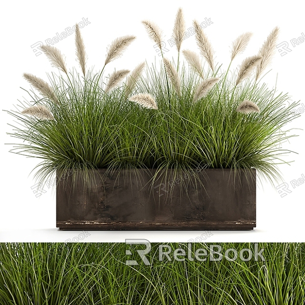 Grasses and flowers model