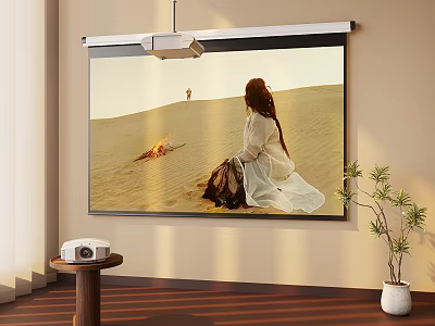 Indoor Home Projection Screen Showing Desert Scene With Person And Bonfire 3d model
