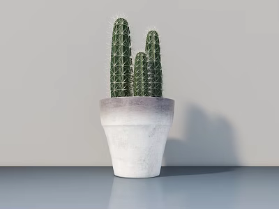 Potted Cactus Plant In White Concrete Pot On Tabletop With Gray Wall 3d model