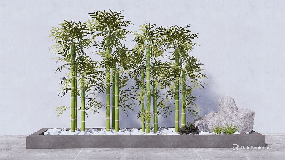 Tall Green Bamboo Plants In Decorative Garden With White Pebbles And Gray Stone 3d model 
