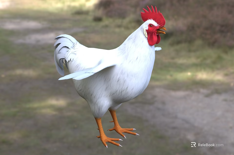 White Rooster with Red Comb and Orange Claws Standing on Grassy Ground in Outdoor Area 3d model 