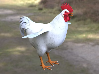 White Rooster with Red Comb and Orange Claws Standing on Grassy Ground in Outdoor Area 3d model