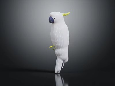 Detailed White Cockatoo Character With Yellow Crest Standing Gracefully On Black Surface 3d model