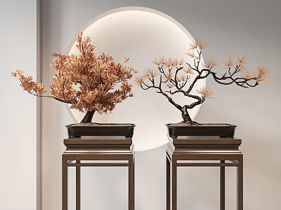 Bonsai Plants With Orange Leaves And Pine Needles On Dark Stands Against Circular White Light 3d model