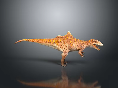 Realistic Spiked Back Dinosaur With Orange Striped Skin In Standing Pose 3d model
