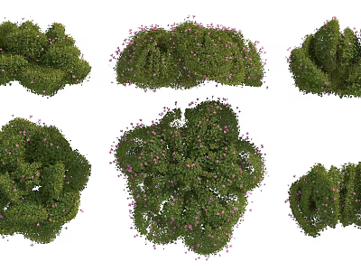 Green Shrubs With Different Shapes And Pink Flowers And Lush Foliage 3d model