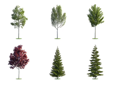 Various Types of Trees With Green and Red Leaves and Diverse Shapes 3d model