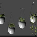 Set Of White Hanging Planters Holding Different Green Plants As Wall Decor