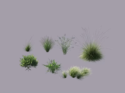 Various Green Grasses and Herbaceous Plants in Different Shapes Sizes and Varieties 3d model