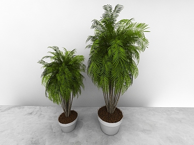 green plant model