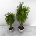 green plant 3d model