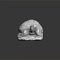 Turtle Cartoon Turtle Snapping Turtle Chickbill Turtle Reptile Cold Blooded Animal Reptile Class 3d model