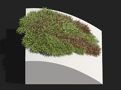 Lush Aquatic Plants With Green And Brown Foliage On White Curved Platform 3d model