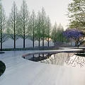 Modern Garden Landscape Design With Cypress Trees Reflecting Pond And Curved Pathway