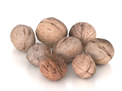 Fresh Raw Walnuts Heap on White Surface Healthy Nutritious Snack 3d model