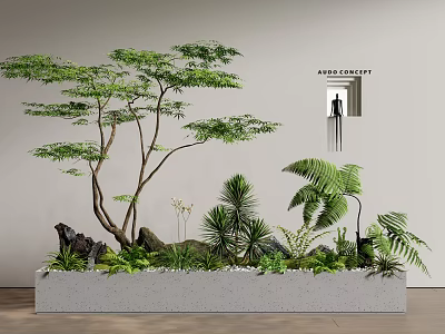 Indoor Plant Landscape with Tree Ferns Stones Pebbles on Light Wall and Black Silhouette 3d model