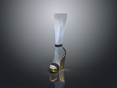 Transparent High Heel Shoes With Gold Heel And Black Strap Design 3d model
