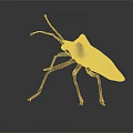 Modern beetle edge chaub beetle 3d model