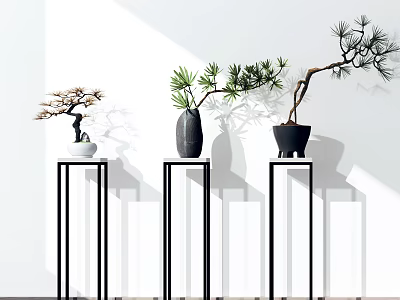 Three Bonsai Plants On Black Stands With White Background Shadow Effects And Various Styles 3d model