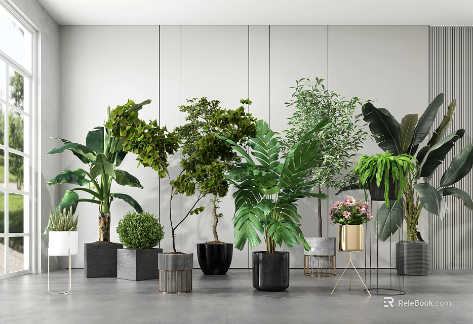 Indoor Potted Plants Display With Various Greenery And Modern Decorative Pots 3d model 