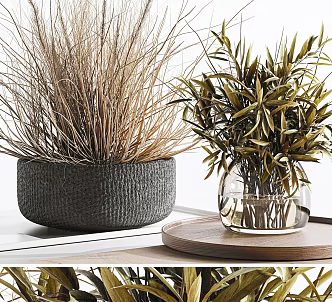 Modern Ornaments Green Plant Vase Flower Pot 3d model