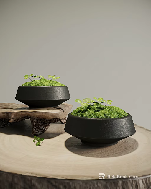 Lush Green Moss Decorative Plants In Black Bowls On Natural Wood Base 3d model 