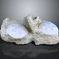 Two White Sand Dollars Embedded in Natural Rocky Surface With Intricate Patterns