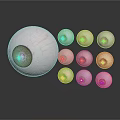 Medical Device Eye Models Display Featuring Various Colored Irises And Different Sizes 3d model