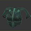Black Fitted Chest Armor With Front Zipper And Shoulder Buckle Details Design