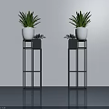 Bonsai Potted Plants in White Pots on Blue Metal Plant Stands Indoor Decorative