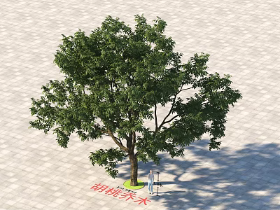 Arbor With Lush Green Foliage And Thick Trunk On Paved Ground 3d model