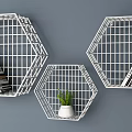 White And Black Hexagonal Grid Design Wall Cabinets With Plants And Books 3d model