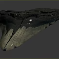 Prehistoric Shark Giant Tooth Fossil With Natural Texture And Ancient Features